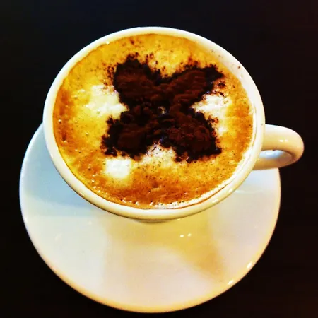 Casa Anita アパート *